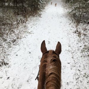 Meet your Posher, Caileigh